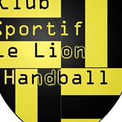 lion_angers_handball.jpg
